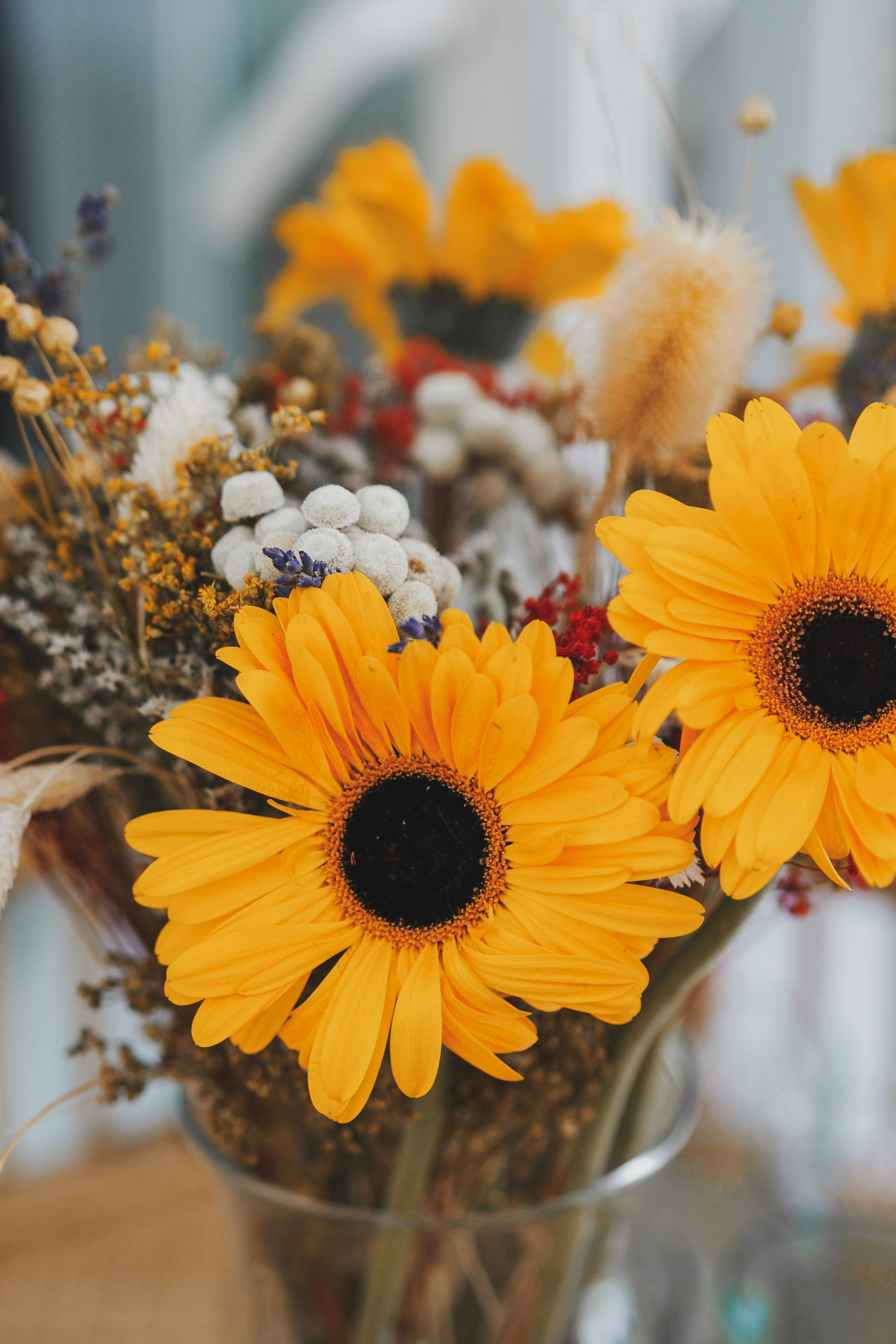 Sun flowers